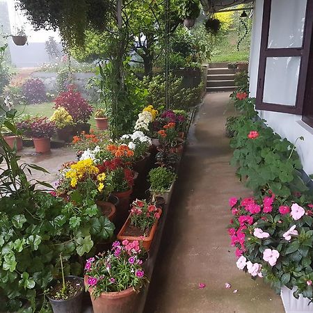 ホテル Rheinberg Town Haus ムンナル エクステリア 写真